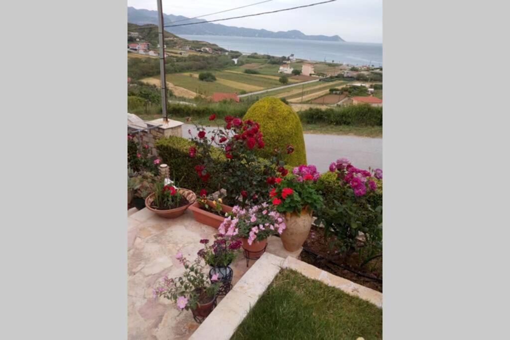 Villa Roses-Mourteri Exteriér fotografie